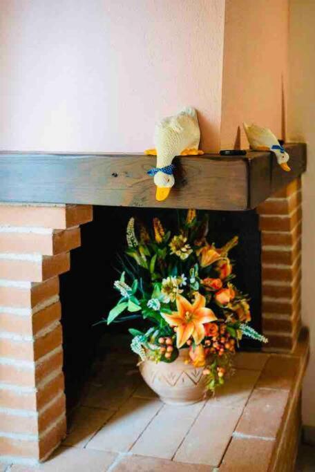 사투르니아 A Casa Di Claudia 아파트 외부 사진